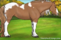 Horse Color:Chestnut Tobiano Frame 