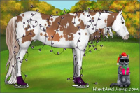 Horse Color:White Spotted Liver Chestnut Splash 