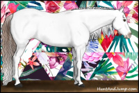Horse Color:Liver Chestnut Tobiano Leopard 