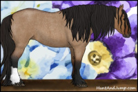 Horse Color:Gray Bay Roan Dun