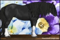 Horse Color:Gray Brown 