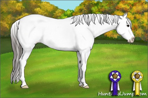 Horse Color: White Spotted Brown Splash Frame Snowcap 