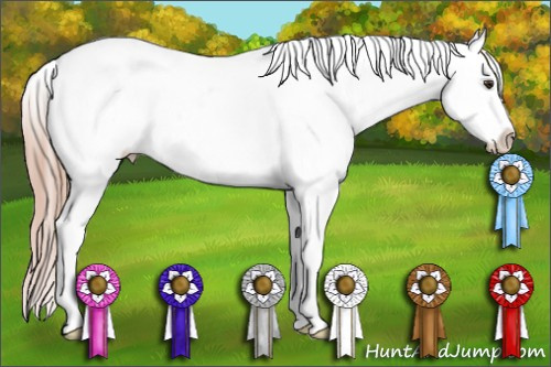 Horse Color: Liver Chestnut Splash Snowcap Rabicano 