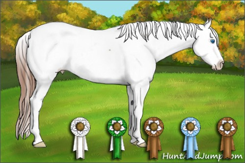 Horse Color: Liver Chestnut Splash Snowcap 