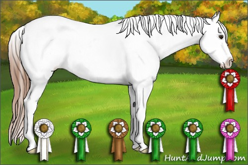 Horse Color: Chestnut Splash Blanket 