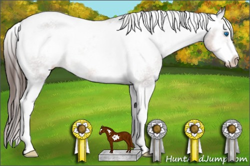 Horse Color: Brown Splash Frame Snowcap Rabicano 