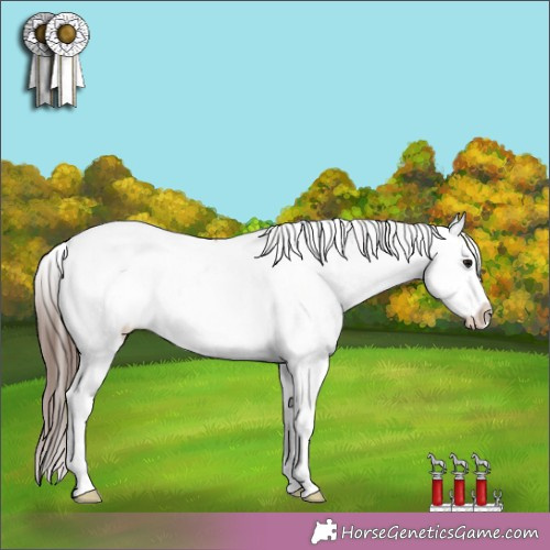 Horse Color: White Spotted Bay Splash Near Fewspot 