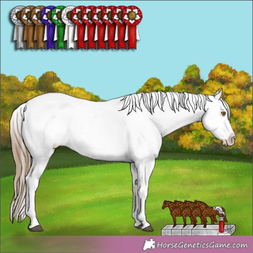 Horse Color: Liver Chestnut Pearl Splash Blanket Rabicano 