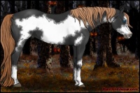 Horse Color:Liver Chestnut Frame 