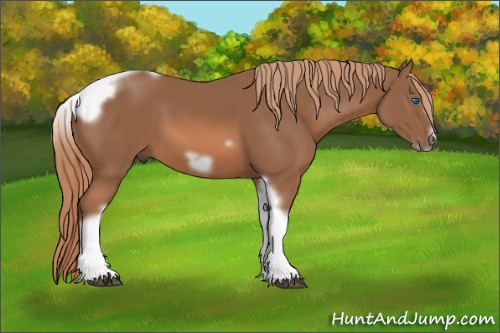Horse Color: Liver Chestnut Tobiano Frame 