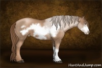 Horse Color:Liver Chestnut Pearl Frame