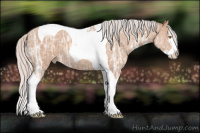 Horse Color:Silver Classic Champagne Ice Splash Tobiano 