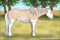 Horse Color:Silver Classic Champagne Dun Splash 