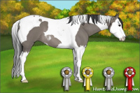 Horse Color:Grullo Roan Splash Tobiano