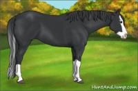 Horse Color:Brown Splash