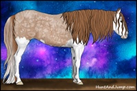 Horse Color:Red Ice Roan Splash 