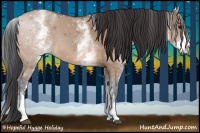 Horse Color:White Spotted Bay Dun