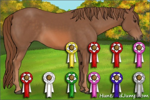Horse Color: Liver Chestnut 