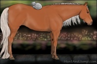 Horse Color:Silver Bay 