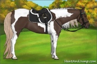 Horse Color:Liver Chestnut Tobiano 