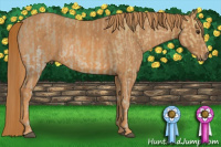 Horse Color:Chestnut Ice Brindle