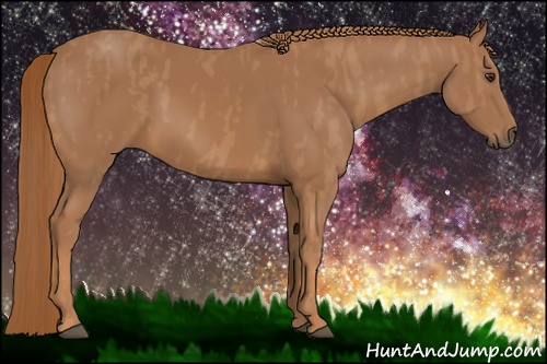 Horse Color: Chestnut  Brindle