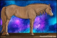 Horse Color:Chestnut  Brindle