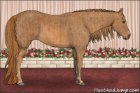 Horse Color:Chestnut  Brindle
