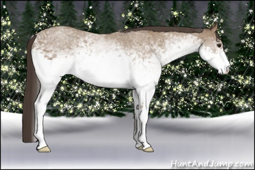 Horse Color: White Spotted Classic Champagne Rabicano 