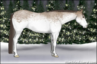 Horse Color:White Spotted Classic Champagne Rabicano 