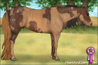 Horse Color:Bay Frame Brindle