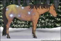 Horse Color:Bay  Brindle