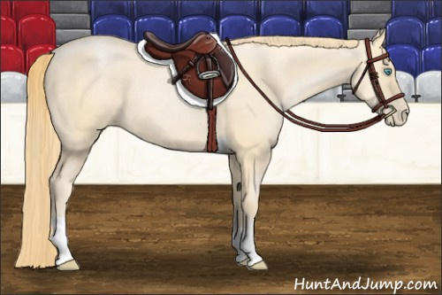 Horse Color: Buckskin Pearl Tobiano 