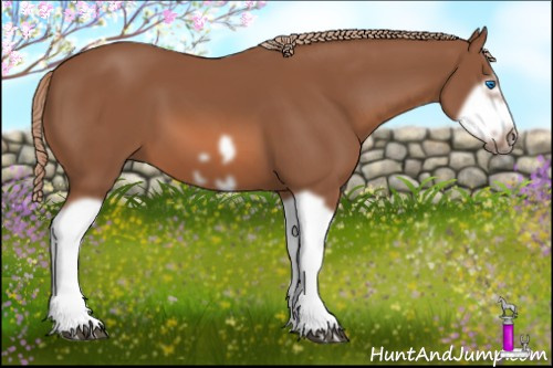 Horse Color: Chestnut Splash Frame 