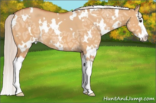 Horse Color: White Spotted Silver Bay Ice Dun Splash 