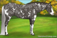Horse Color:White Spotted Smoky Blue Ice Roan Splash