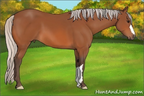 Horse Color: Silver Bay 