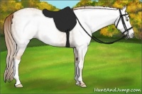 Horse Color:Gray Gold Champagne Brindle