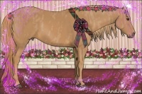 Horse Color:Chestnut  Brindle