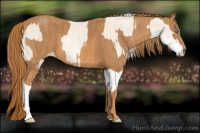 Horse Color:Cremello Sabino  Brindle