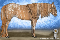 Horse Color:Perlino Dun Sabino  Brindle