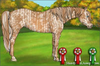 Horse Color:Cremello Sabino  Brindle