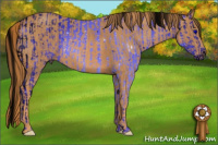 Horse Color:ERROR: UNKNOWN ANOMALY Brindle