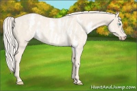 Horse Color:Cremello Sabino Rabicano  Brindle