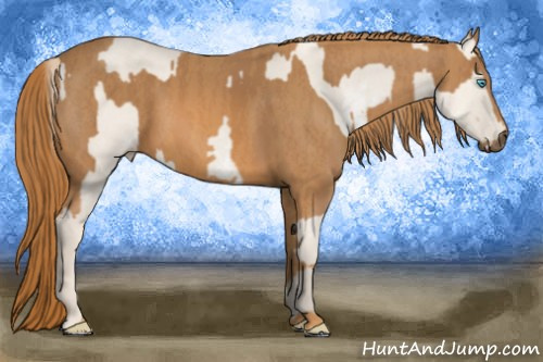 Horse Color: Perlino Dun Sabino  Brindle
