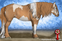 Horse Color:Cremello Sabino  Brindle