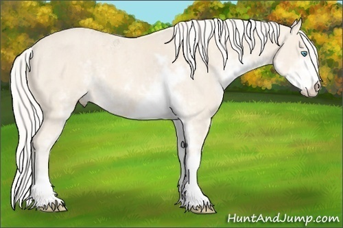 Horse Color: Cremello Sabino  Brindle