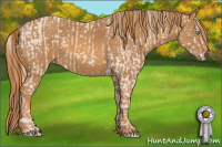 Horse Color:Perlino Sabino Brindle