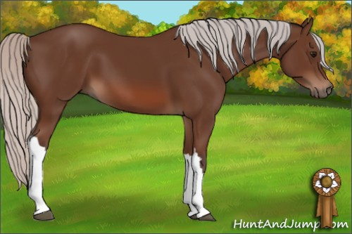 Horse Color: Silver Bay 