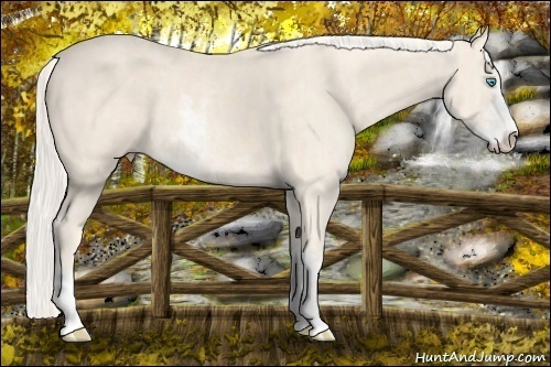 Horse Color: Cremello Sabino  Brindle